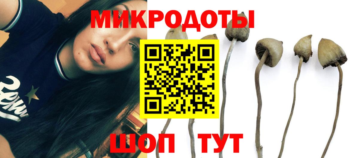 продажа наркотиков  Вход с VPN  Ярославль  Галлюциногенные грибы GOLDEN TEACHER 